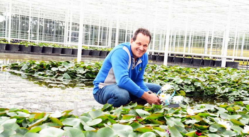 ‘Bedrijfsvernieuwing zorgt voor betere kleuring planten en energiebesparing’ ‘Bedrijfsvernieuwing zorgt voor betere kleuring planten en energiebesparing’