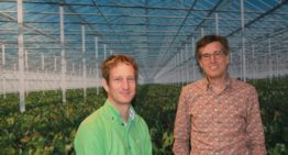 Kassen en teeltsystemen zijn klaar voor klimaatneutraal telen