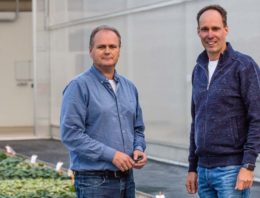 Met de plantjes over de rondweg door kas en bedrijfsruimte
