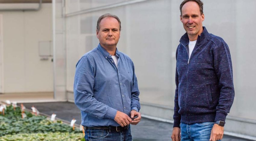 Met de plantjes over de rondweg door kas en bedrijfsruimte