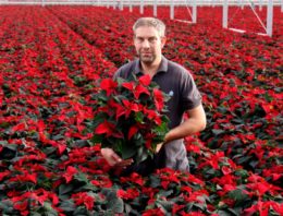 Mooie ‘buitenplanten’ uit nieuwe kas met modernste technieken
