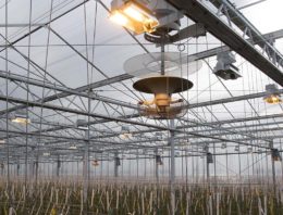 Webinars over Het Nieuwe Telen vallen in de smaak
