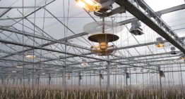 Webinars over Het Nieuwe Telen vallen in de smaak