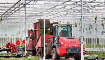 Minder ziektedruk als teeltsysteem in evenwicht is