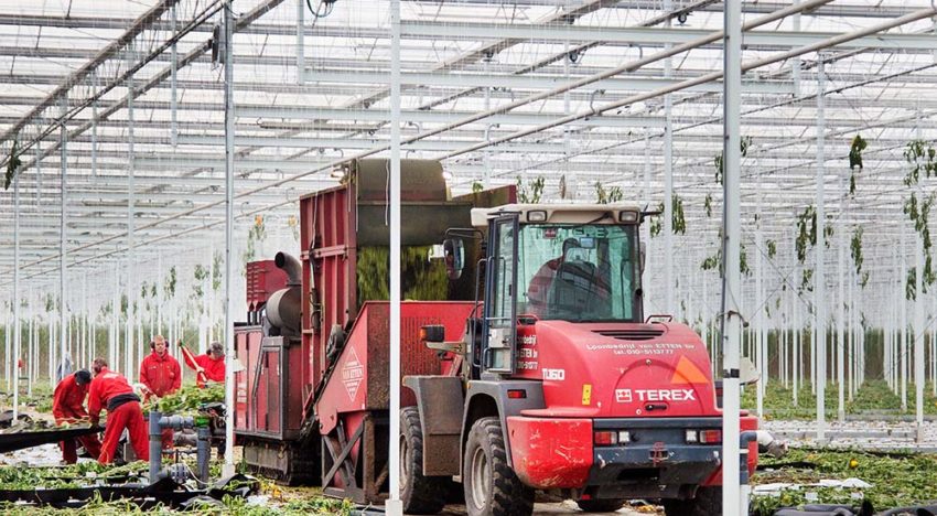 Minder ziektedruk als teeltsysteem in evenwicht is