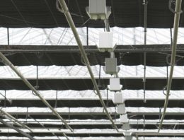 Flink besparen op elektriciteit met dimbare belichting is mogelijk