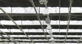 Flink besparen op elektriciteit met dimbare belichting is mogelijk