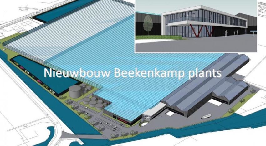 Beekenkamp neemt nieuw bedrijf van 9 hectare in gebruik