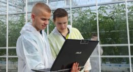 InnovationQuarter start proeftuin voor digitalisering in de glastuinbouw