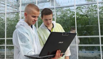 InnovationQuarter start proeftuin voor digitalisering in de glastuinbouw