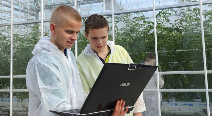 InnovationQuarter start proeftuin voor digitalisering in de glastuinbouw