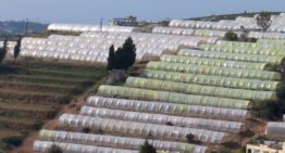 Innovatieve tuinbouwkas WUR zorgt voor betere waterefficiëntie Libanon