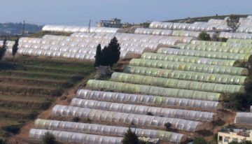 Innovatieve tuinbouwkas WUR zorgt voor betere waterefficiëntie Libanon