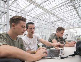 Greenport Hub organiseert 30-urige hackathon in World Horti Center