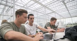 Greenport Hub organiseert 30-urige hackathon in World Horti Center