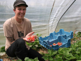 Biologische tuinbouwbedrijven kandidaat voor Ekoland Innovatieprijs