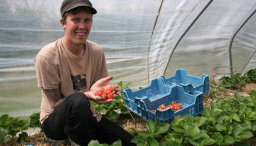 Biologische tuinbouwbedrijven kandidaat voor Ekoland Innovatieprijs
