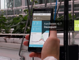 Minder gewasverlies door combinatie data op macro- en microniveau