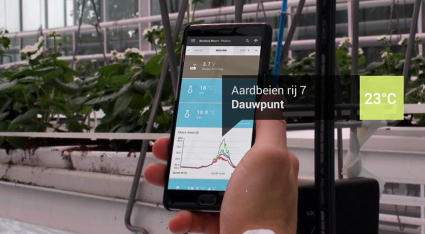 Minder gewasverlies door combinatie data op macro- en microniveau