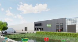 4Evergreen breidt teeltlocatie Westdorpe uit naar 55 hectare