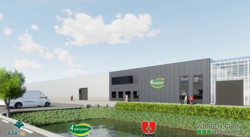 4Evergreen breidt teeltlocatie Westdorpe uit naar 55 hectare
