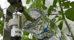 Sensoren meten plantreacties bij klimaatveranderingen en manipulaties