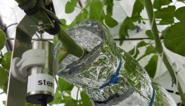 Sensoren meten plantreacties bij klimaatveranderingen en manipulaties