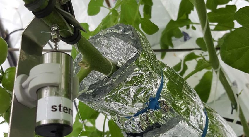 Sensoren meten plantreacties bij klimaatveranderingen en manipulaties