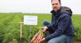 Brede toelating tegen aaltjes voor knoflookextract NEMguard