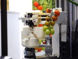 Panasonic demonstreert robot die tomaten kan plukken