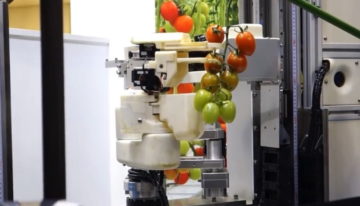 Panasonic demonstreert robot die tomaten kan plukken
