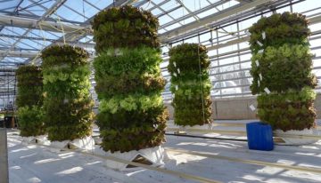 Hydroponic telen gaat de hoogte in met 3D-teeltconstructie