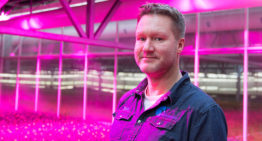 ‘Led’s zijn interessant omdat je er ook mee kunt sturen’