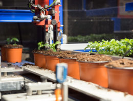 Combinatiemachine voor steksteken én transplanten