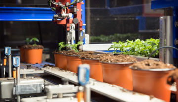 Combinatiemachine voor steksteken én transplanten