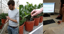 Delphy lanceert watergeefapplicatie voor potplanten