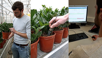 Delphy lanceert watergeefapplicatie voor potplanten