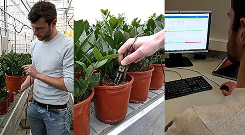 Delphy lanceert watergeefapplicatie voor potplanten