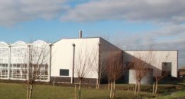 En… het is weer licht in de kas