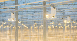 BLV presenteert nieuw Horturion armatuur
