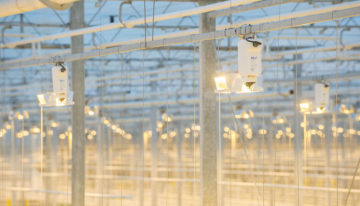 BLV presenteert nieuw Horturion armatuur