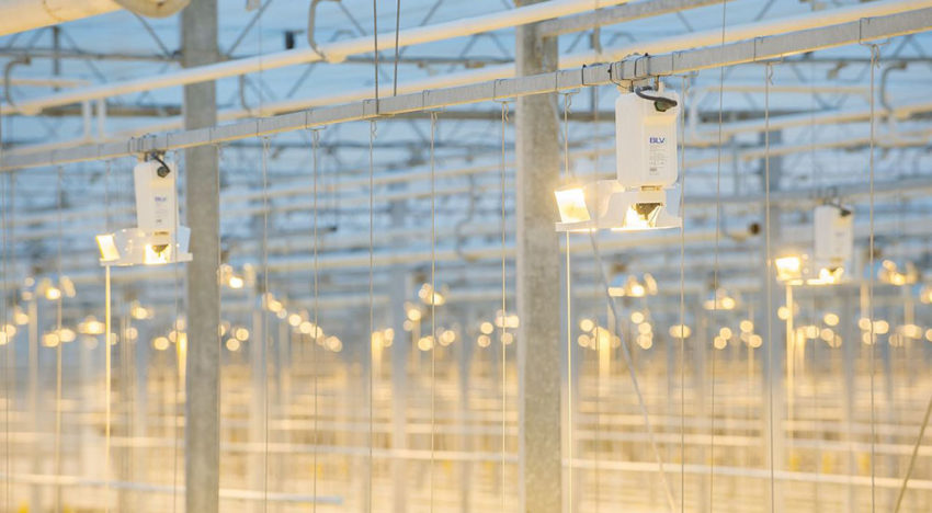 BLV presenteert nieuw Horturion armatuur