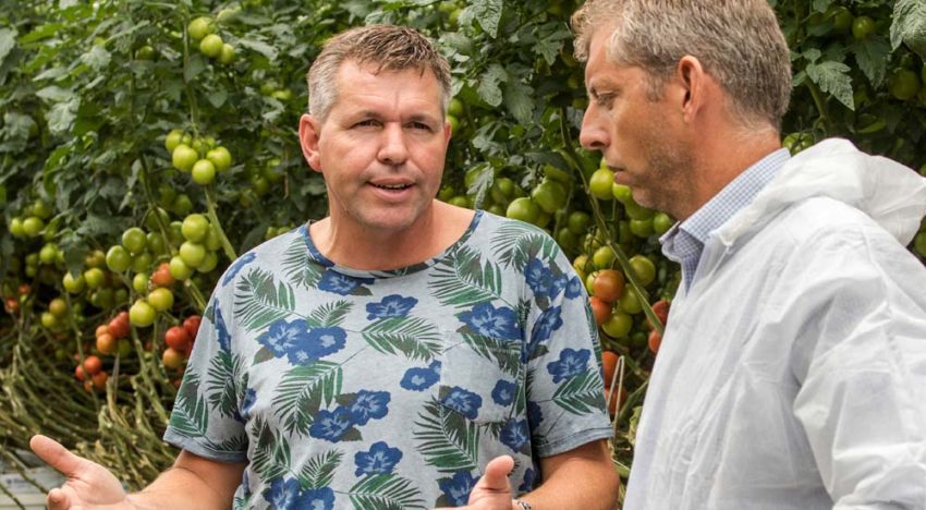 Productie sturen op basis van voorspellend groeimodel Productie sturen op basis van voorspellend groeimodel