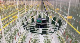 Hinova introduceert losse verticale ventilator