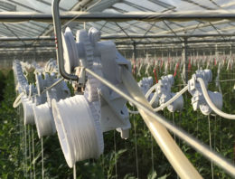 Automatisch laten zakken van planten in hogedraadteelt