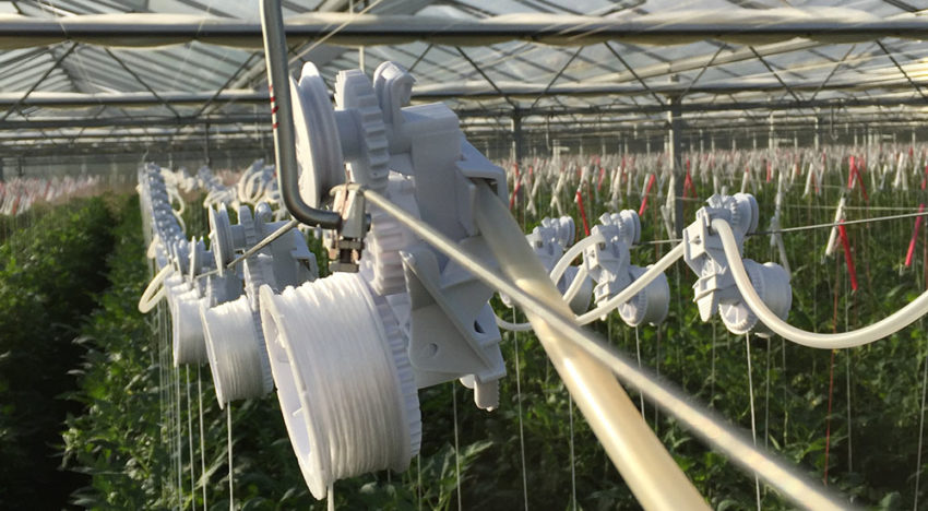 Automatisch laten zakken van planten in hogedraadteelt
