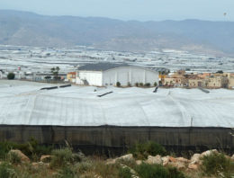 Hulp Spaanse telers uitgebreid door recent natuurgeweld