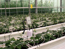 Compleet sensorplatform voor de tuinbouwsector