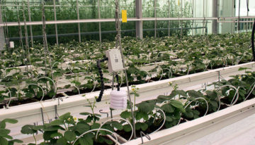 Compleet sensorplatform voor de tuinbouwsector