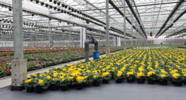 ErfGoed ontwikkelt eigen gronddoek